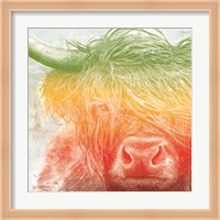 Norwegian Bison rainbow Fine Art Print