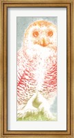 Snowy Owl panel rainbow Fine Art Print