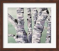 Birch Tree Close Up II Fine Art Print