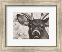 Deer landscape Fine Art Print