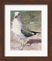 Beach Bird III Fine Art Print
