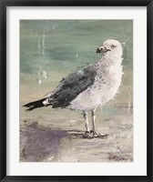 Beach Bird IV Fine Art Print