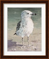 Beach Bird V Fine Art Print