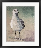 Beach Bird VI Fine Art Print