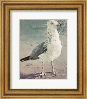 Beach Bird VII Fine Art Print