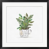 Botanical Mug II Fine Art Print