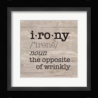 Laundry Room Humor I-Irony Framed Print