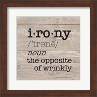 Laundry Room Humor I-Irony Fine Art Print