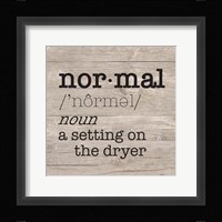 Laundry Room Humor II-Normal Framed Print