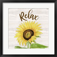 Fall Sunflower Sentiment III-Relax Fine Art Print