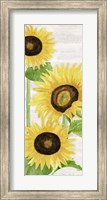 Fall Sunflowers panel I Fine Art Print