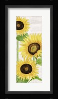 Fall Sunflowers panel I Framed Print