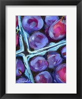 Blueberry Carton Fine Art Print
