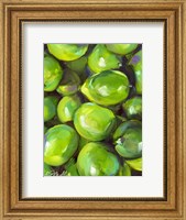 Tropical Limes Fine Art Print
