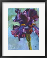 Iris in Bloom Fine Art Print