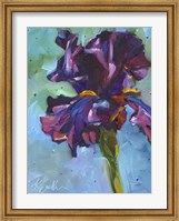 Iris in Bloom Fine Art Print