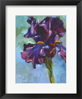Iris in Bloom Fine Art Print