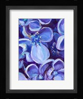 Lavender Floral Close Up Fine Art Print