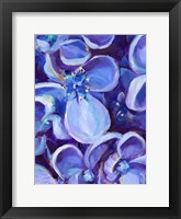 Lavender Floral Close Up Fine Art Print