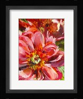Floral Close Up Fine Art Print