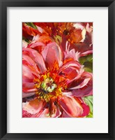 Floral Close Up Fine Art Print