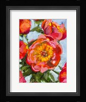 Rose Mix Fine Art Print