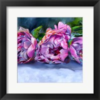 Roses lying down Fine Art Print