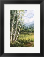 Colorado Meadow panel I Fine Art Print