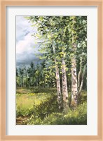 Colorado Meadow panel II Fine Art Print