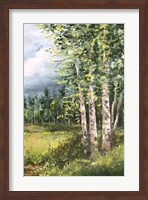 Colorado Meadow panel II Fine Art Print