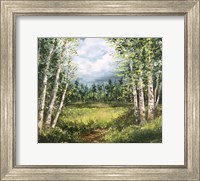 Colorado Meadow landscape Fine Art Print