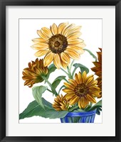 China Sunflowers II Framed Print