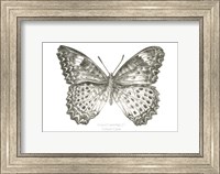 Butterfly Sketch landscape I Fine Art Print
