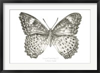 Butterfly Sketch landscape I Fine Art Print