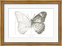 Butterfly Sketch landscape II Fine Art Print