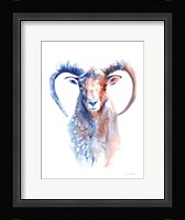 Copper and Blue Ram Fine Art Print