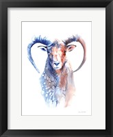 Copper and Blue Ram Framed Print