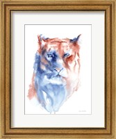 Copper and Blue Lioness Fine Art Print