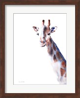 Copper and Blue Giraffe Fine Art Print