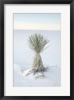 Yucca in White Sands National Monument Fine Art Print