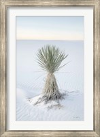 Yucca in White Sands National Monument Fine Art Print