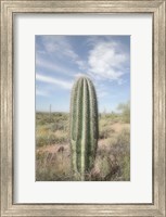 Saguaro Fine Art Print