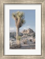 Joshua Tree National Park I Fine Art Print