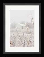Early Snow Fine Art Print
