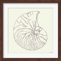 Coastal Breeze Shell Sketches VII Silver Fine Art Print