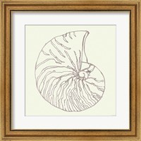 Coastal Breeze Shell Sketches VII Silver Fine Art Print
