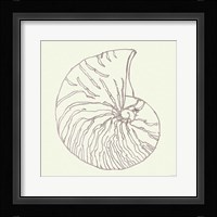 Coastal Breeze Shell Sketches VII Silver Framed Print