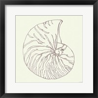 Coastal Breeze Shell Sketches VII Silver Framed Print