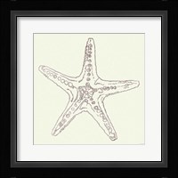 Coastal Breeze Shell Sketches VI Silver Framed Print