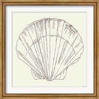 Coastal Breeze Shell Sketches V Silver Fine Art Print